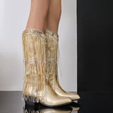 Womens Fringe & Sequins Decor Point Toe Chunky Heeled Western Boots