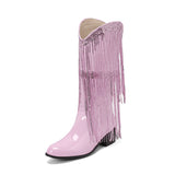 Womens Fringe & Sequins Decor Point Toe Chunky Heeled Western Boots