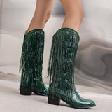 Womens Fringe & Sequins Decor Point Toe Chunky Heeled Western Boots